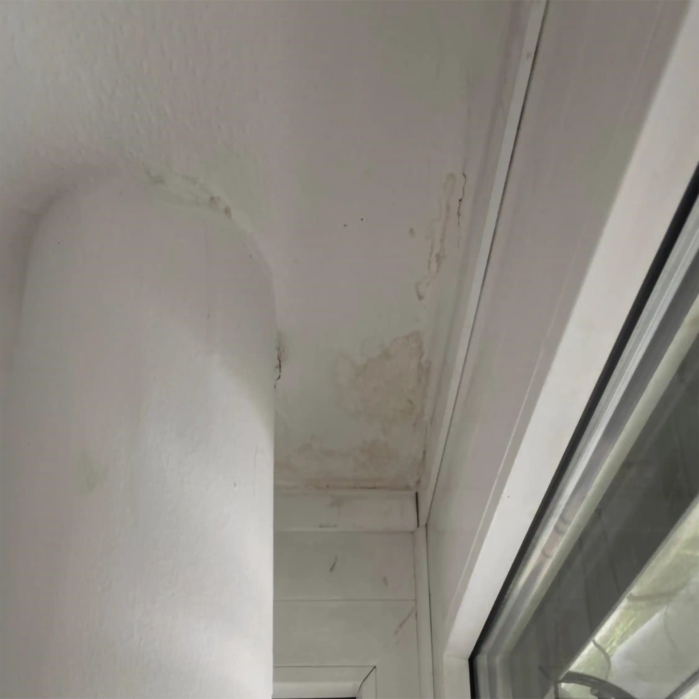 Wasserschaden an einer Innenwand vor der Begutachtung